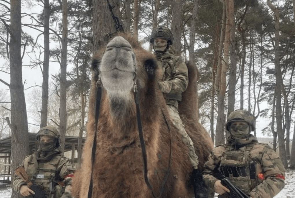 Tropas rusas con un camello bactriano utilizado para el transporte en el frente. (Foto: fuente abierta)