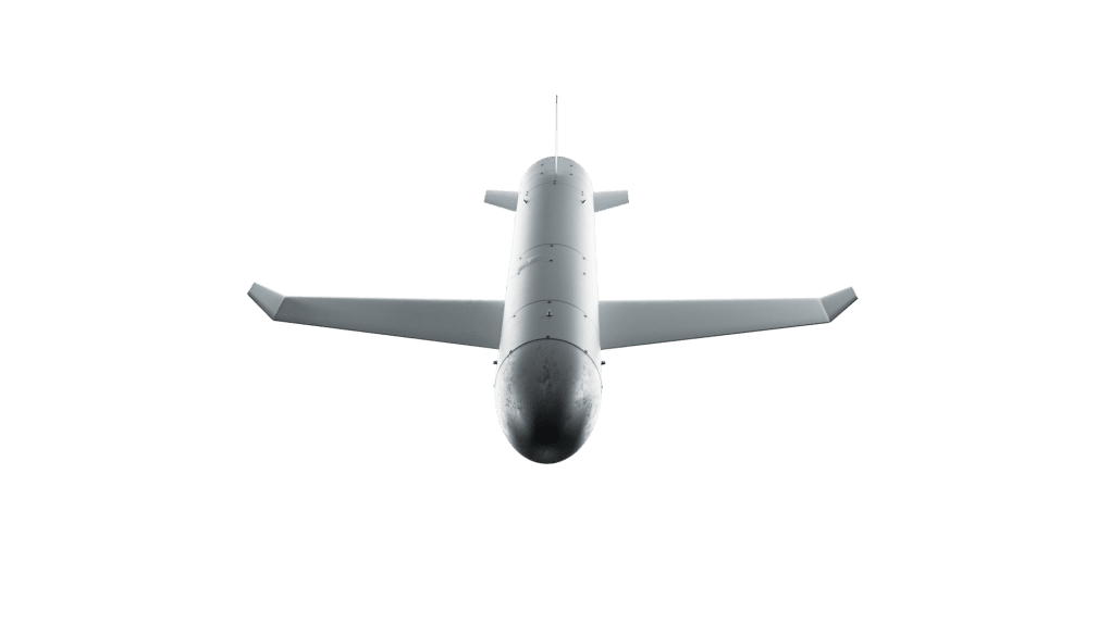 Illustrative image. Ukrainian-made rocket drone Palianytsia. (Source: UNITED24 Media)