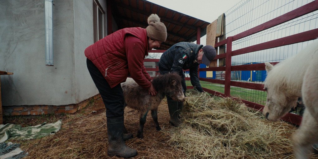 Still from the film “RESCUE.” (Source: Ukrainian organization Every Animal)