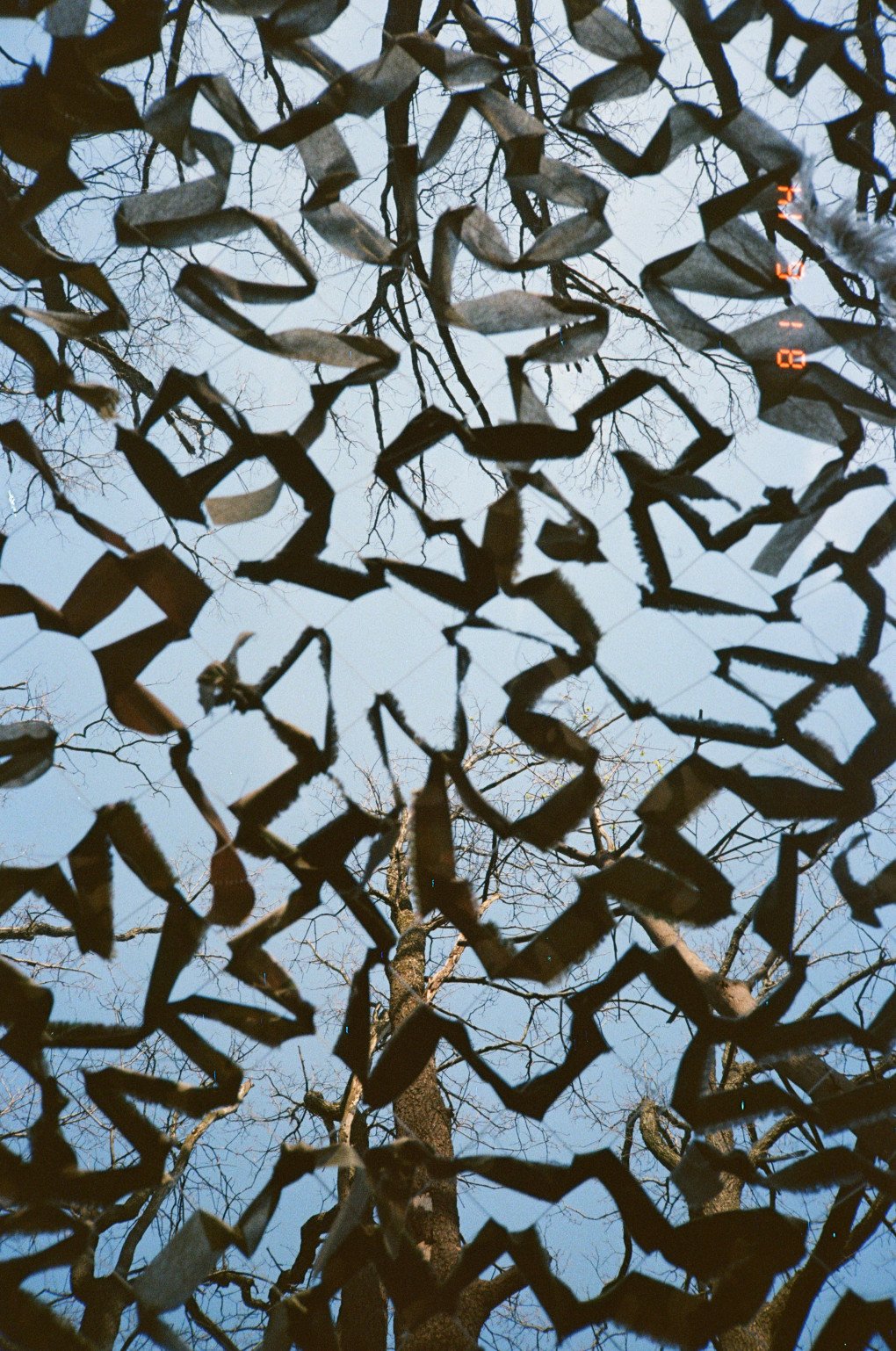 Photo by Oleksandr/Dob