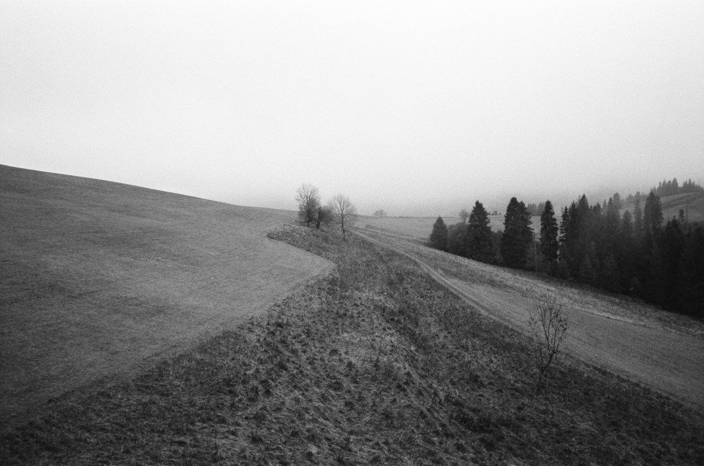 The Repower Charitable Foundation is holding its 17th session in the Carpathian Mountains. Photo: Josh Olley/ UNITED24 Media