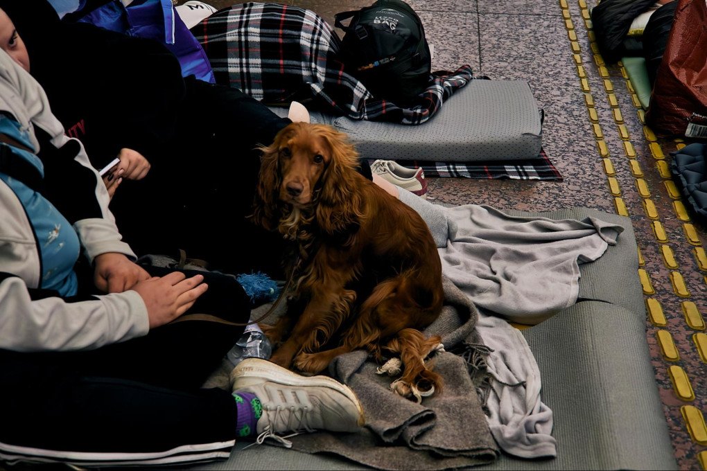 Kyiv residents take shelter in a metro station with their dog, tens of meters underground. Kyiv, Ukraine, October 6, 2026 (Photo: Louis Beaudemont/UNITED24 Media)
