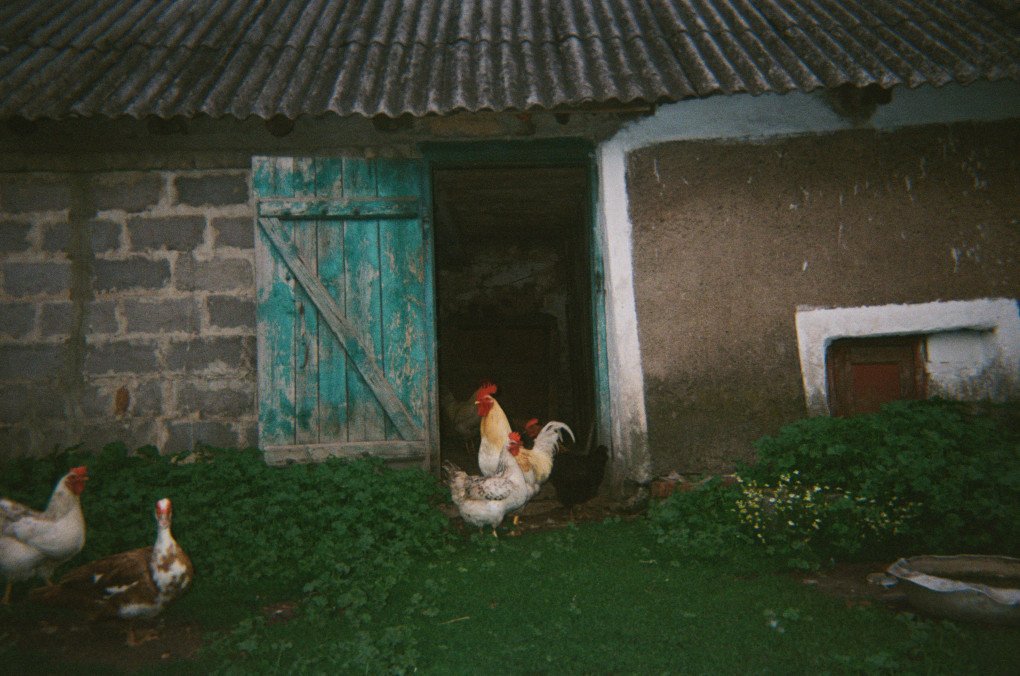 Photo by Kseniia/Jane