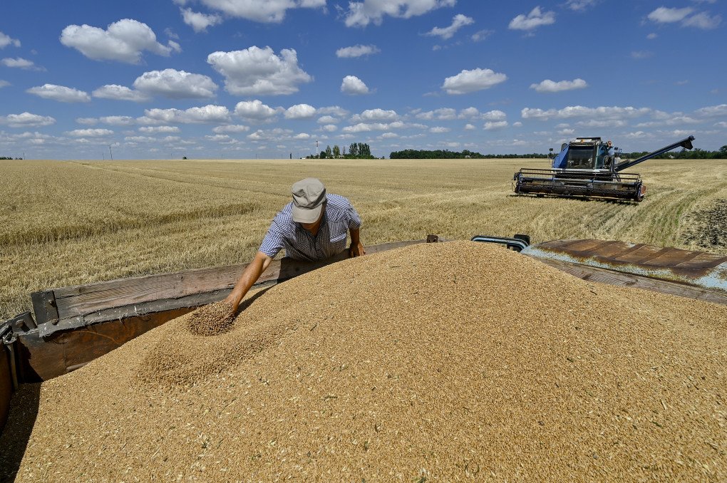 A man spreads winter wheat in a truck during the harvest season in the fields of the Dnipro Waves Agricultural Production Cooperative in the village of Dniprovi Khvyli, Zaporizhzhia region, southeastern Ukraine. (Photo by Dmytro Smolienko via Getty Images)