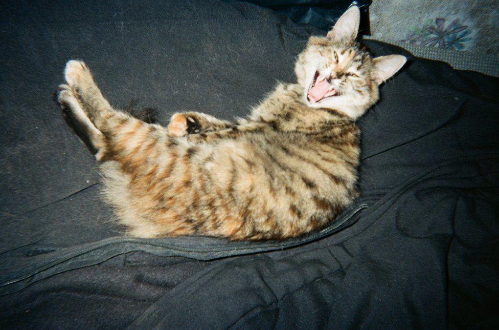 Photo by Yura/Duncan