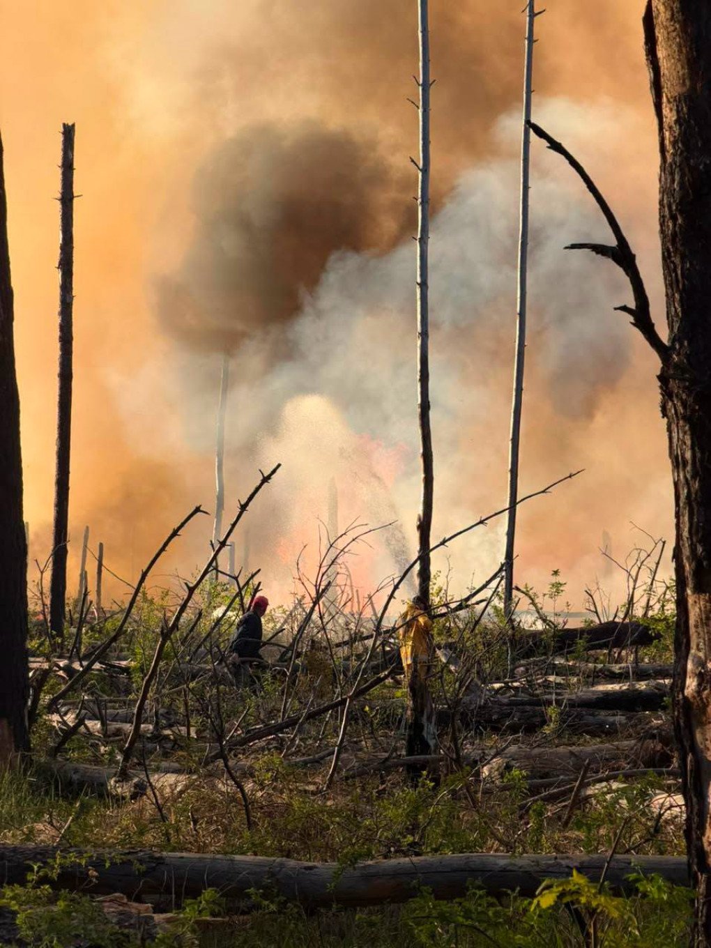 Emergency response teams and firefighters deploy specialized equipment to contain and localize forest fires inside the Chornobyl exclusion zone. (Source: SAEZ)