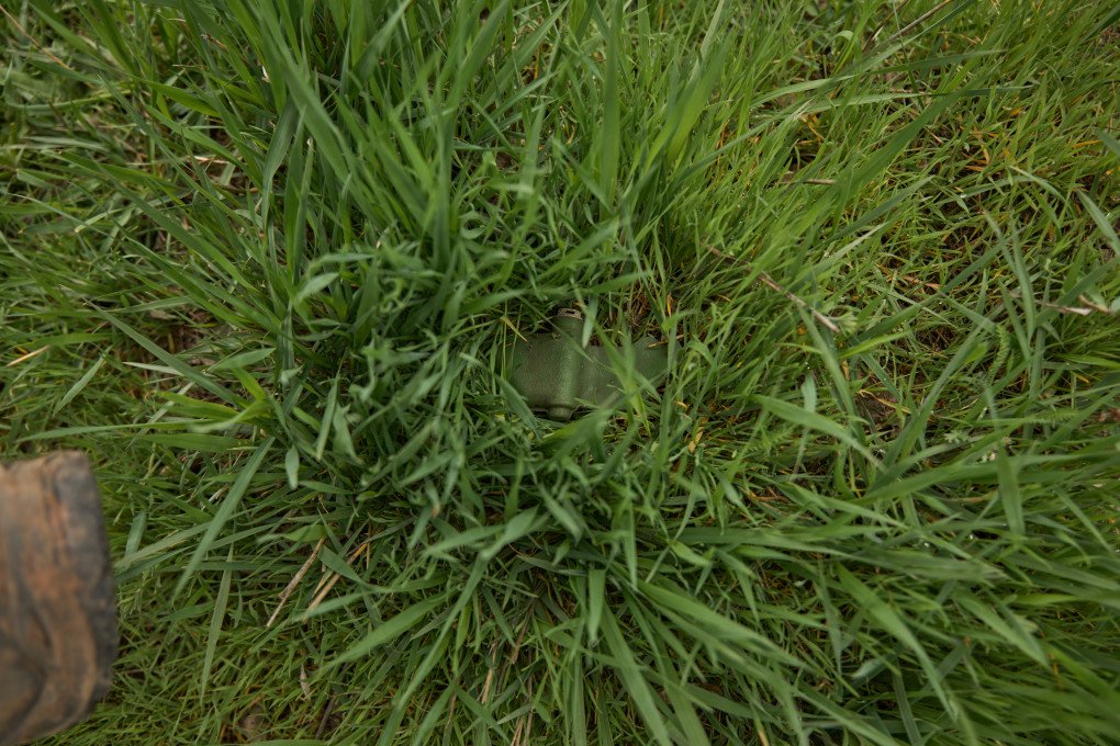 Petal mine in the grass, April 2025. (Photo: Mykyta Shandyba) Petal mine in the grass, April 2025. (Photo: Mykyta Shandyba)