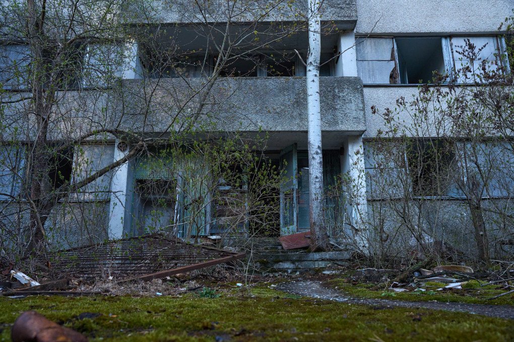 Courtyards overgrown with trees in once-inhabited neighborhoods. Photo: Mykyta Shandyba/UNITED24 Media