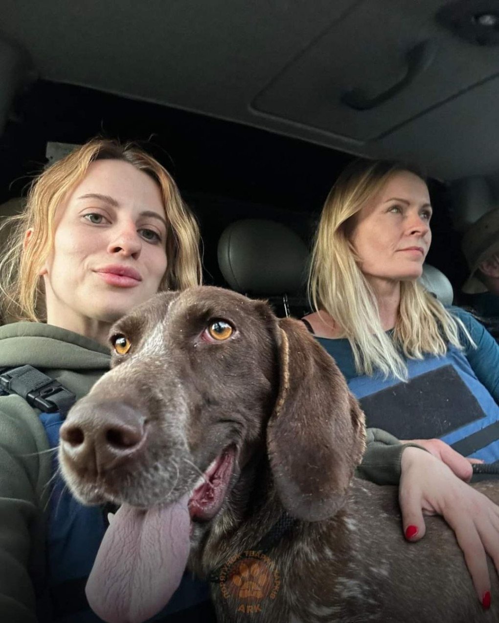 Rescuing a dog from Vovchansk, Kharkiv region, May 2024. (Source: Animal Rescue Kharkiv)