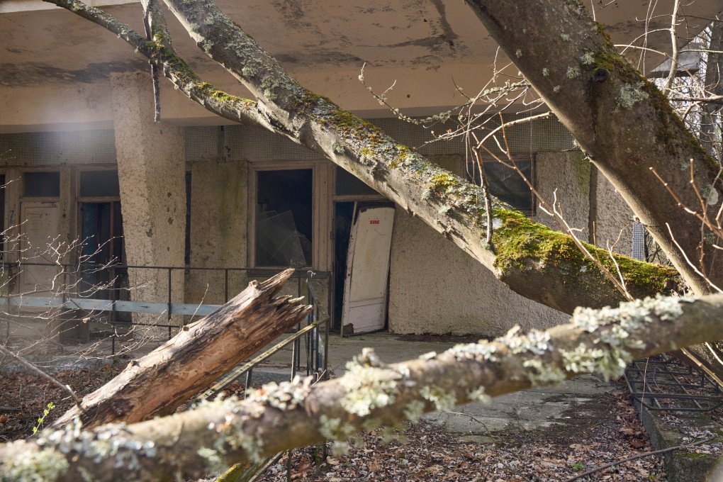 Courtyards overgrown with trees in once-inhabited neighborhoods. Photo: Mykyta Shandyba/UNITED24 Media