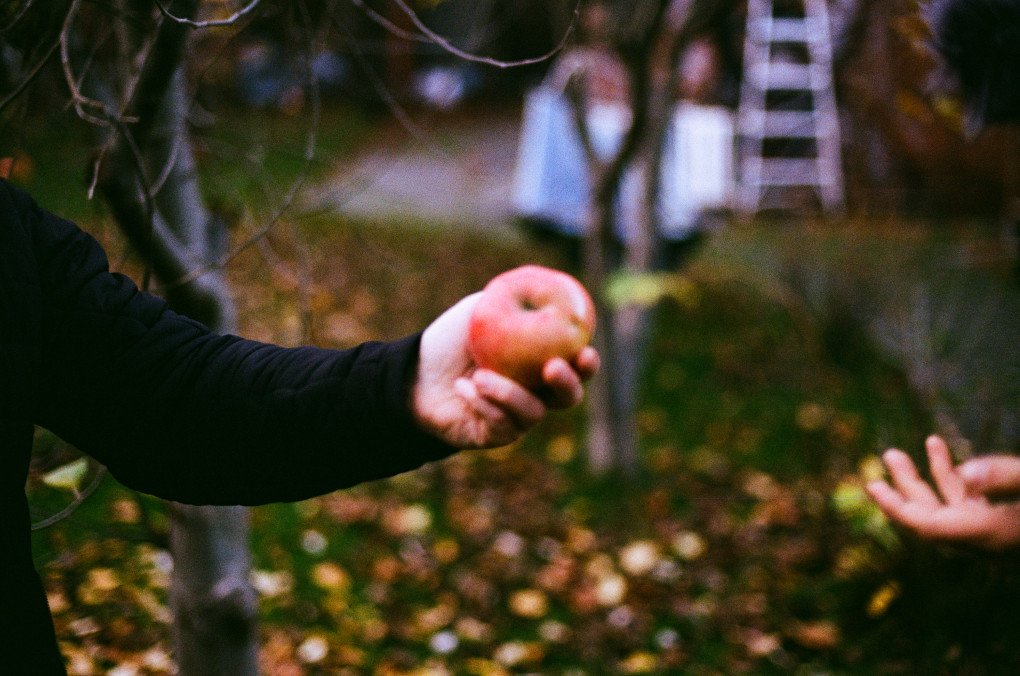Ukrainian photographer Vladyslav Krasnoshchok, in his Kharkiv house-museum, November 28, 2025. (Source: Louis Beaudemont / UNITED24 Media)