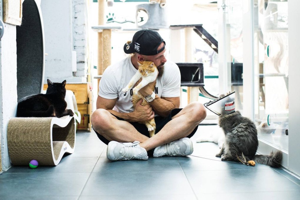 The cat shelter “Borodata Kotomama” founded by Oleksiy Surovtsev. (Source: tv-park)