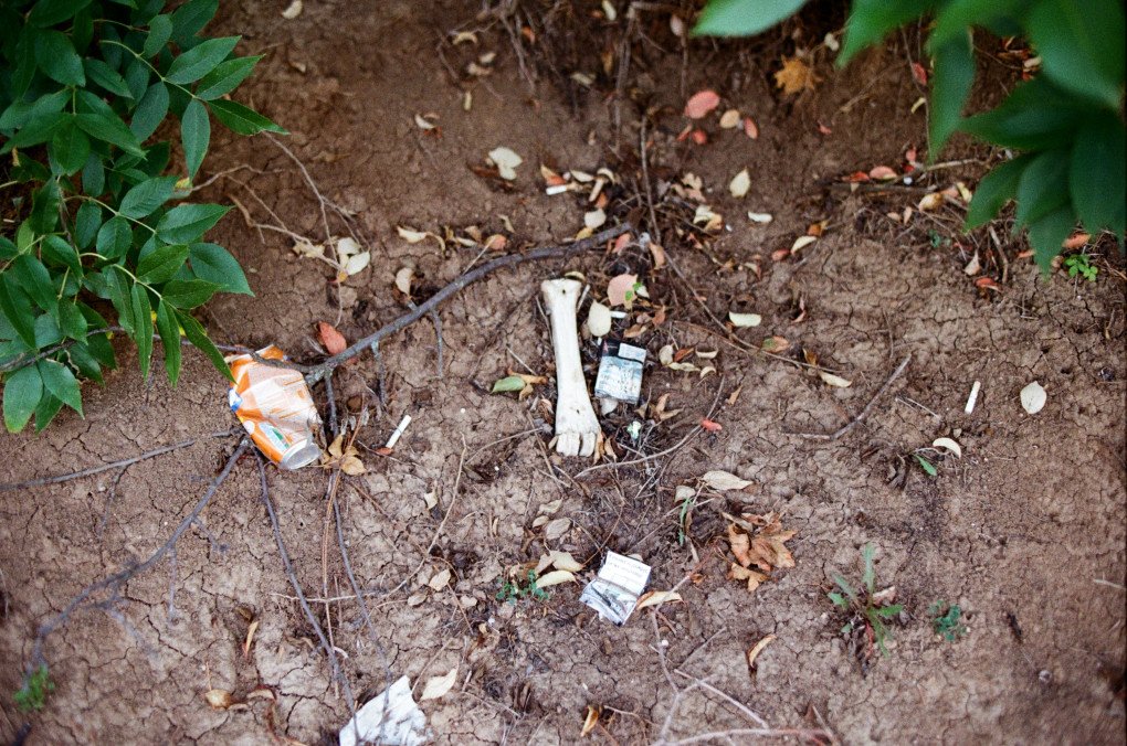 A bone found in the bushes near the meeting point. Ukraine, August 2025. Photo by Lucile Brizard/UNITED24 Media.