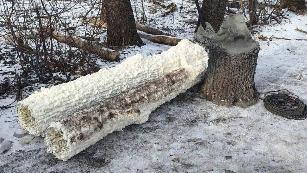 Rusia camufla antenas militares como árboles en el frente de Ucrania
