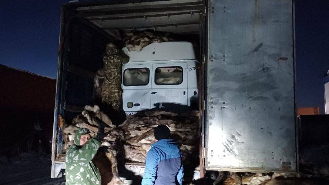 Russia Sends 2,000 Reindeer Hides to Frontline Troops Amid Mounting Winter Shortages