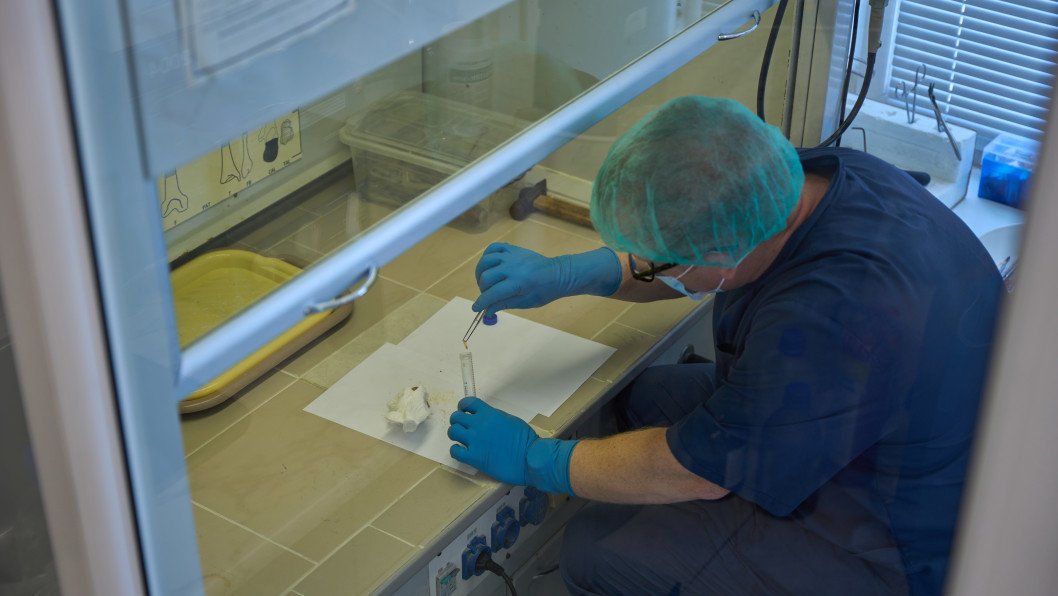 Inside Ukraine’s DNA Search Reuniting Fallen Heroes With Their Families