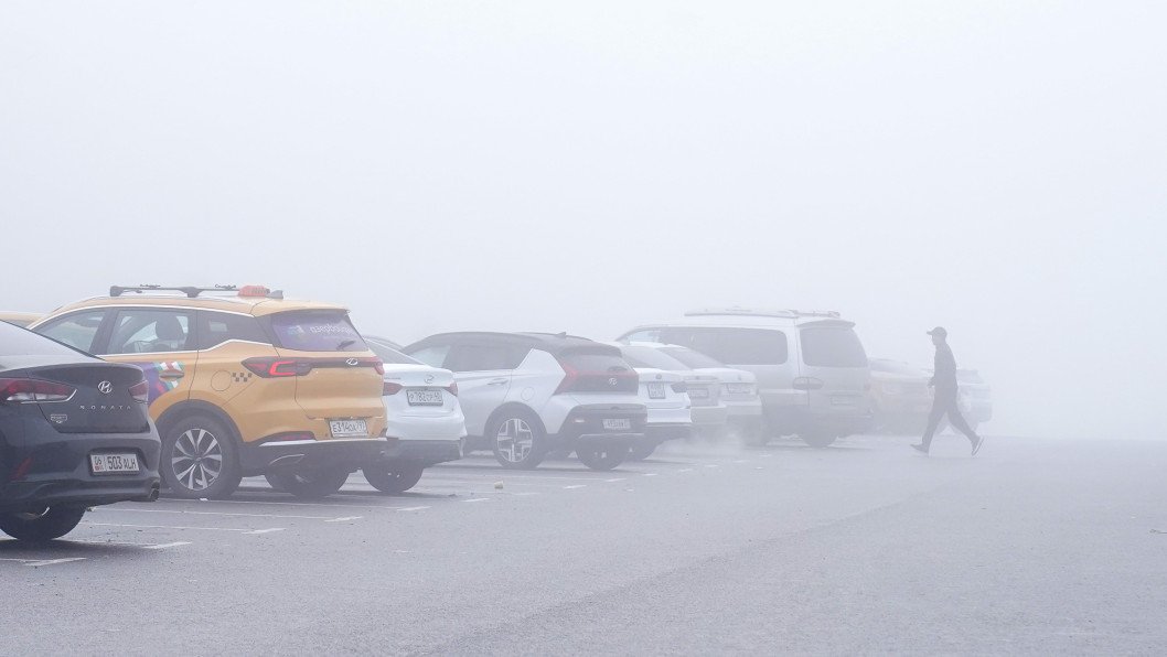 Russia May Grant Legal Registration to Smuggled Cars Stolen Across Europe