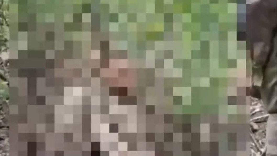 Video Shows Russian Troops Allegedly Executing Captured Ukrainian Soldier