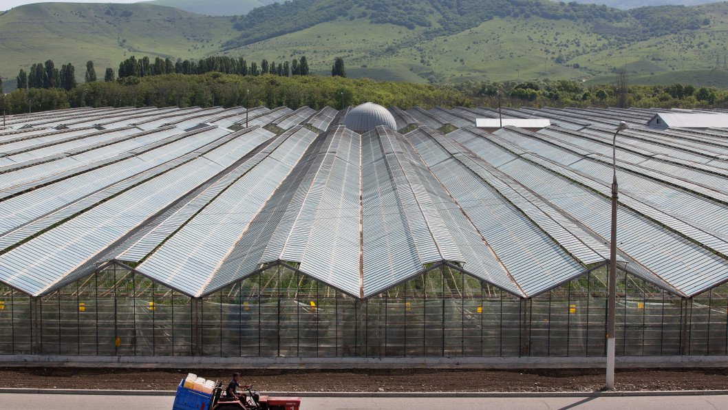 Russia’s Farm Sector Slides Into Eight-Year Low Despite Kremlin Harvest Optimism