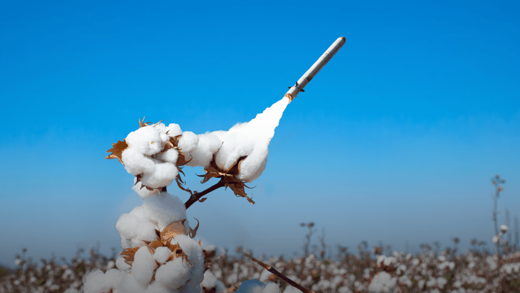 Without Uzbek Cotton, Russia’s Missiles Can’t Fly—There’s No Viable Alternative