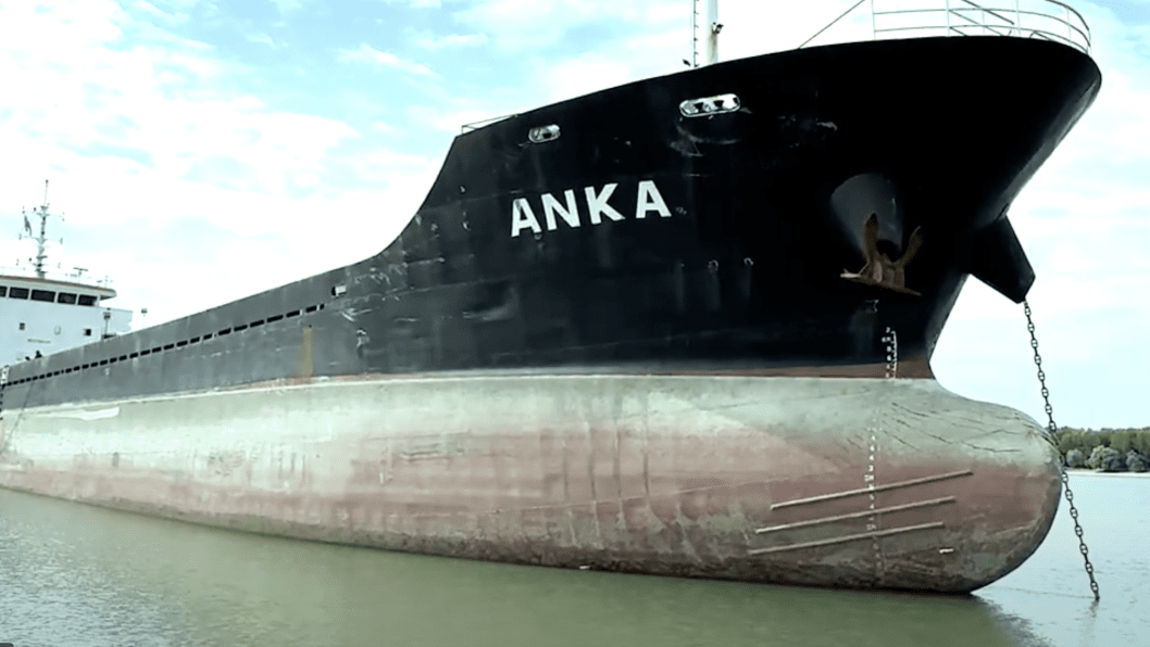 Ukraine to Auction Ship Seized for Illegally Docking in Occupied Crimea