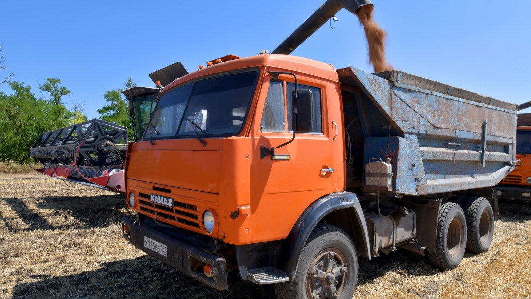 Russian Agribusiness Giant’s Profit Collapses 99% as Grain Piles Up at Home