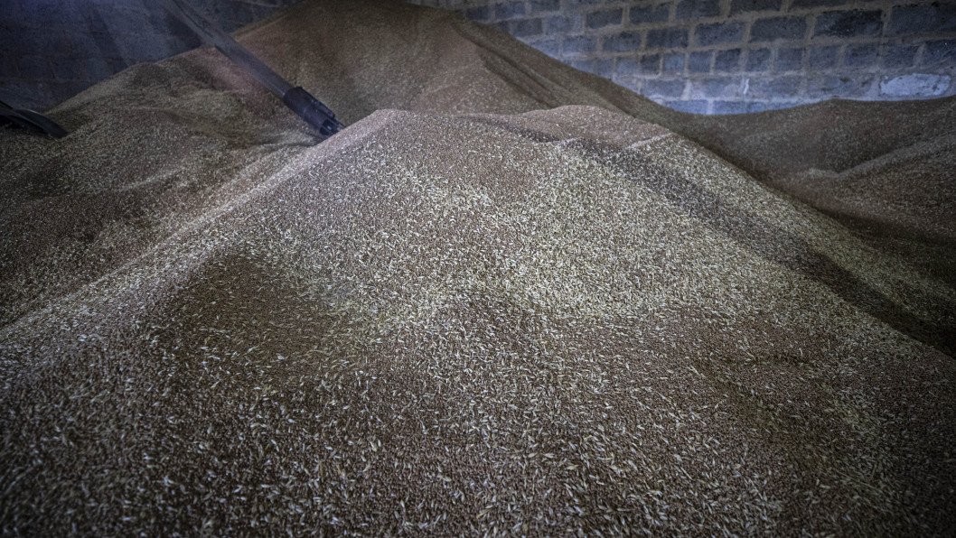 How Stolen Ukrainian Grain From Occupied Mariupol Reached a UN Supplier—Investigation