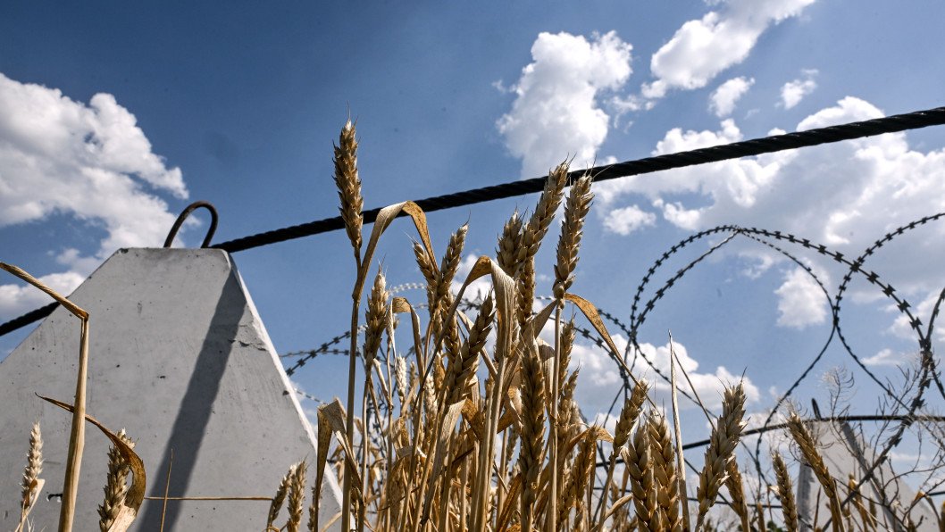 Ukraine Charges Russian Deputy Agriculture Minister With War Crime Over $550M Grain Theft