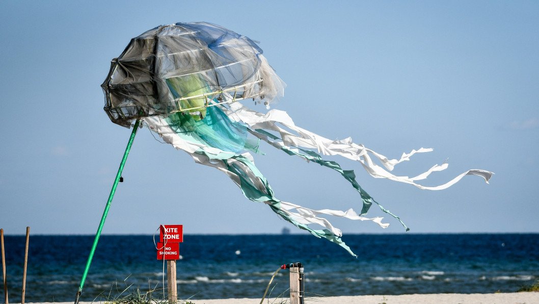 Russia Plans Mass Jellyfish Harvest in Sea of Azov, Sparking Ecological Disaster Fears