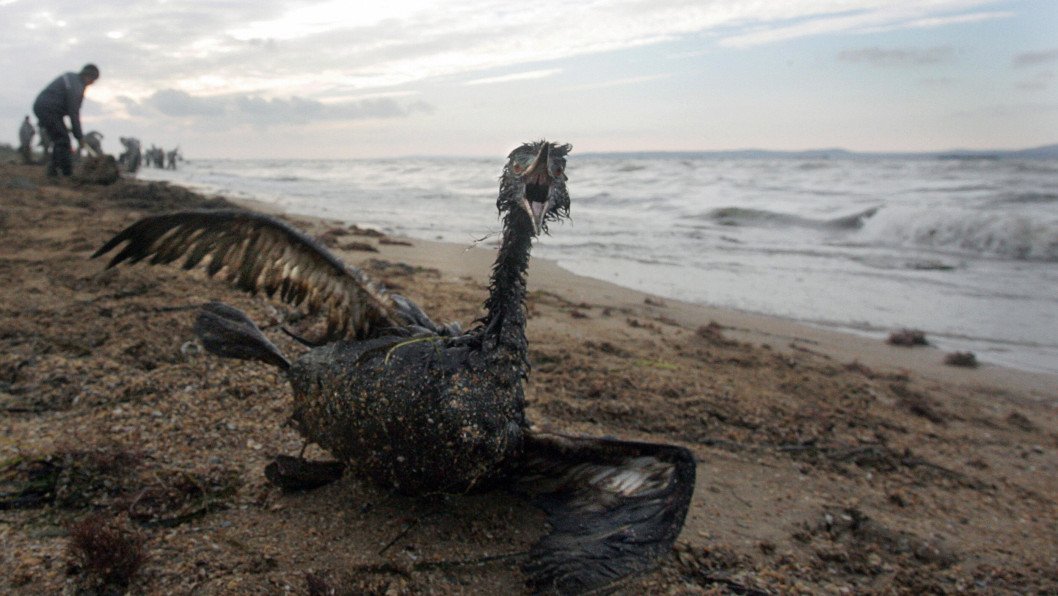 Russia Keeps Violating Maritime Law, Leaving a Toxic Oil Spill Trail