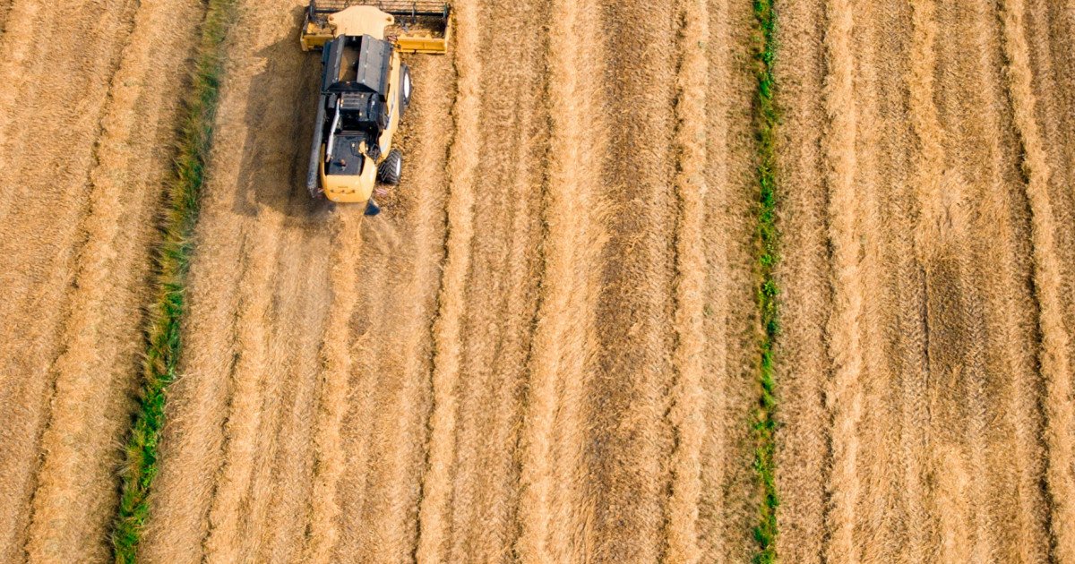 Ukraine Reports Record Grain Harvest in 2023 — UNITED24 Media