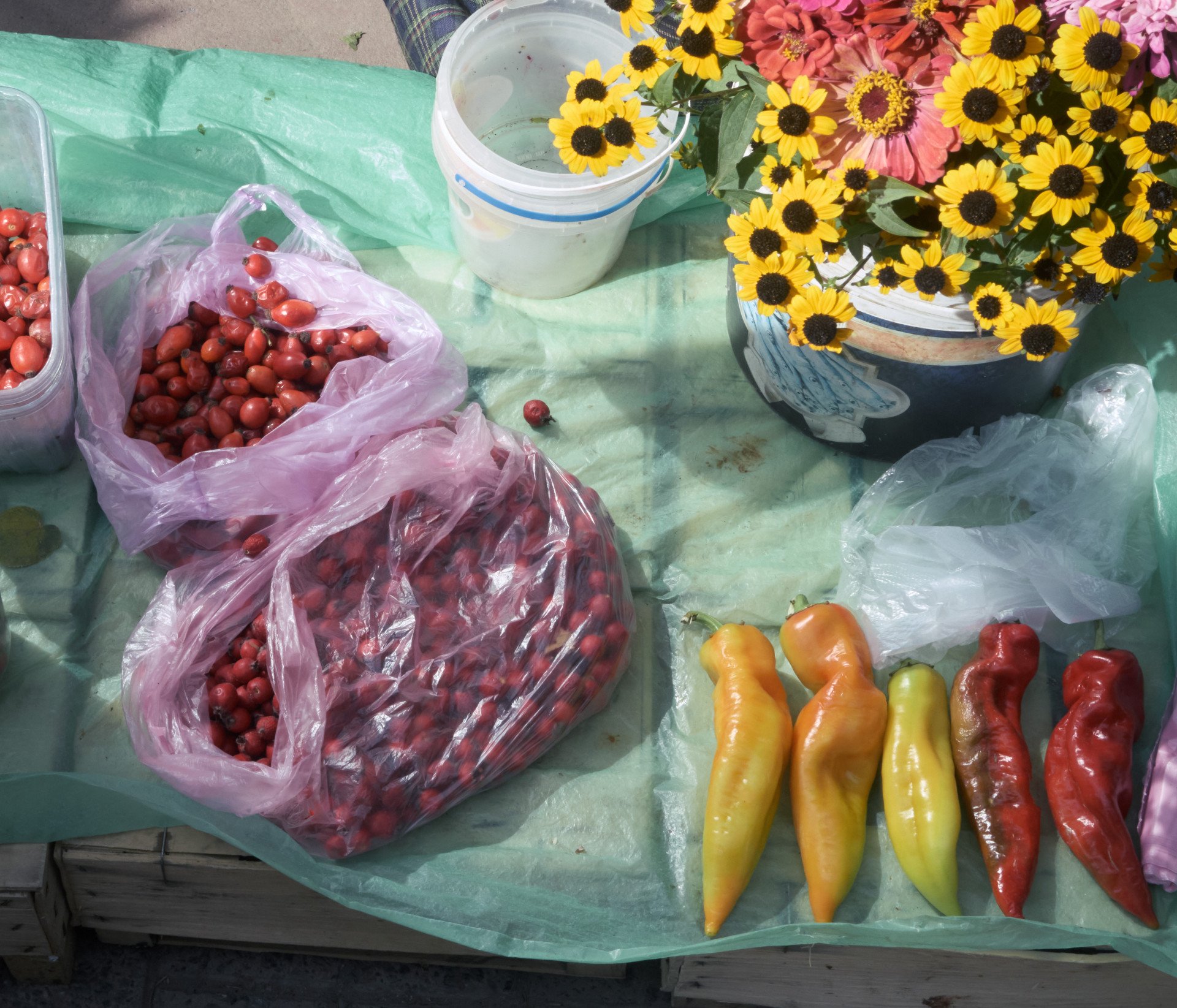  Other items grown by Zoya. Kramatorsk market. September 2025. Photo by Joshua Olley/UNITED24 Media.