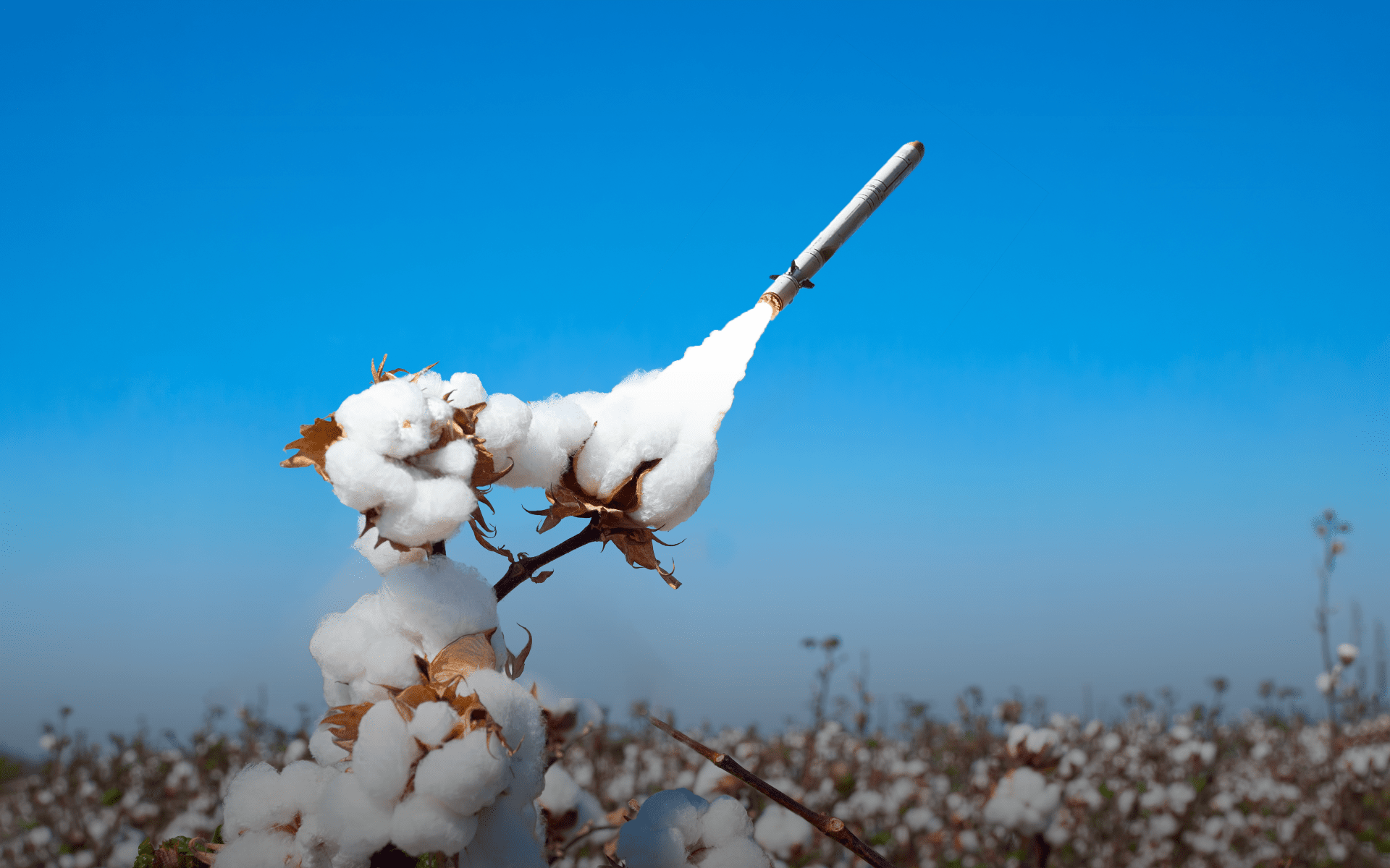 Uzbek Cotton Missile Production Supply Chains Russia