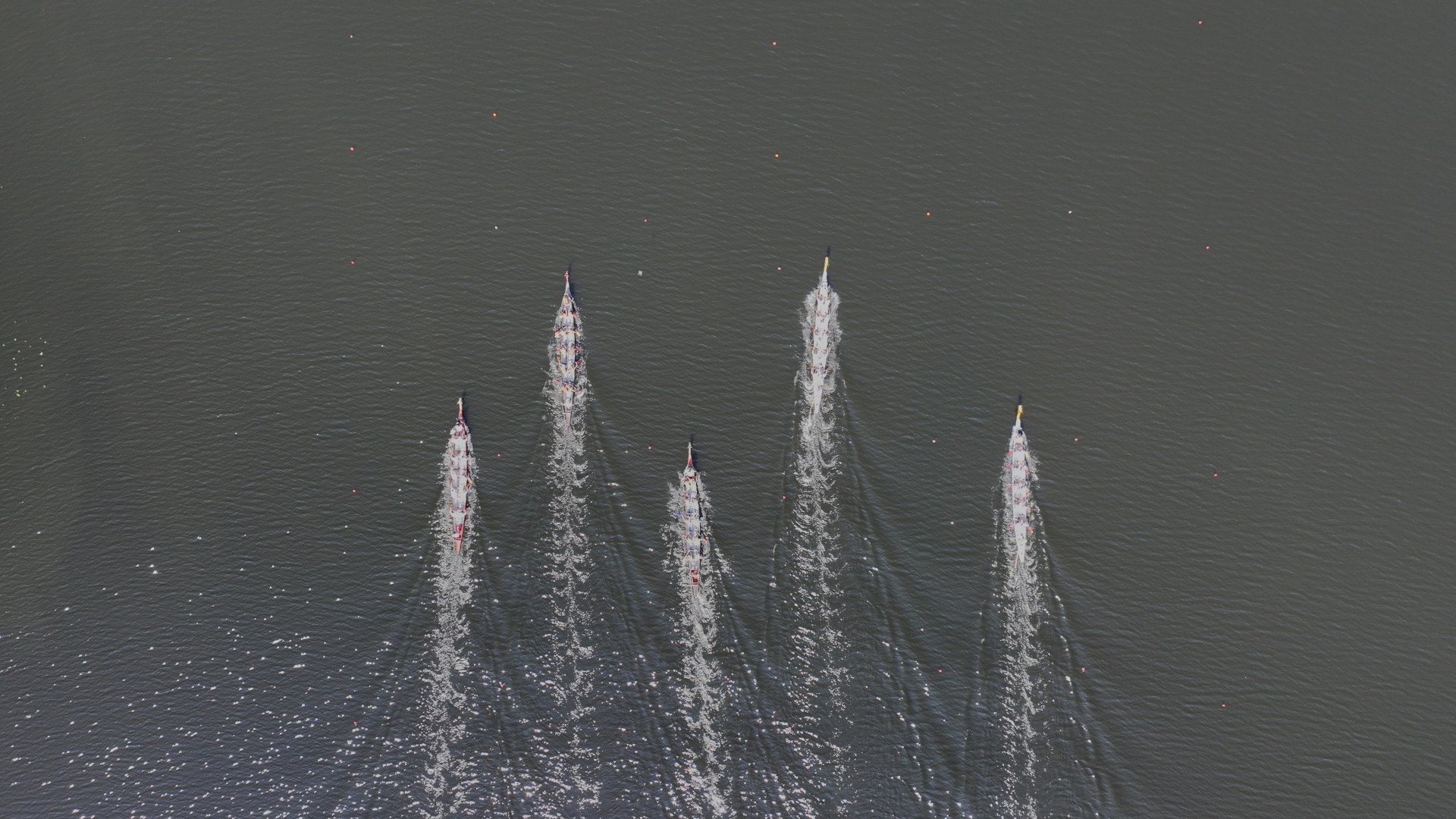 The race in full swing, 5 teams compete against each other. (Photo: Mykyta Shandyba/UNITED24 Media)