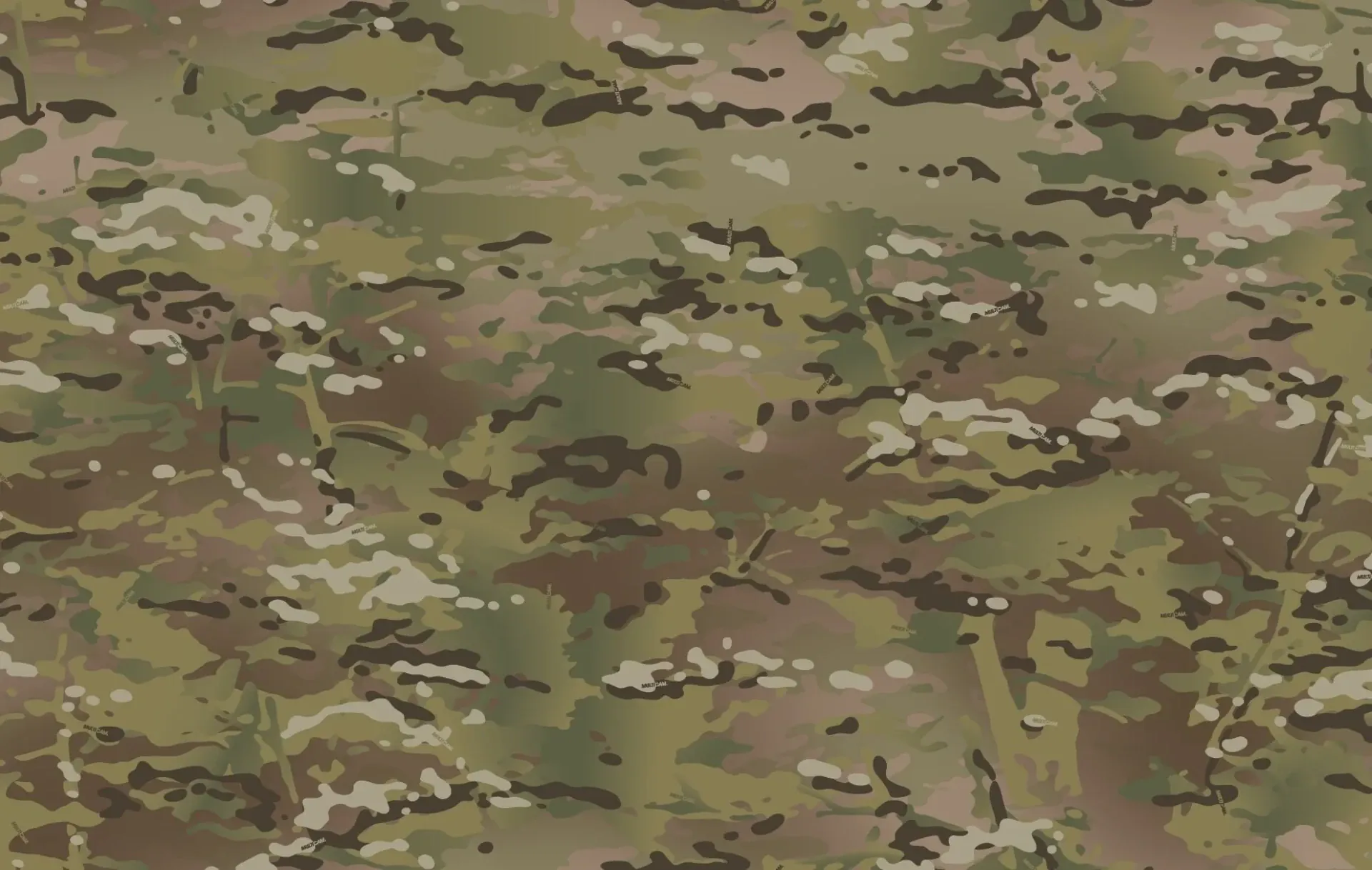 How Drone Warfare Is Forcing Ukraine to Rethink Military Uniforms