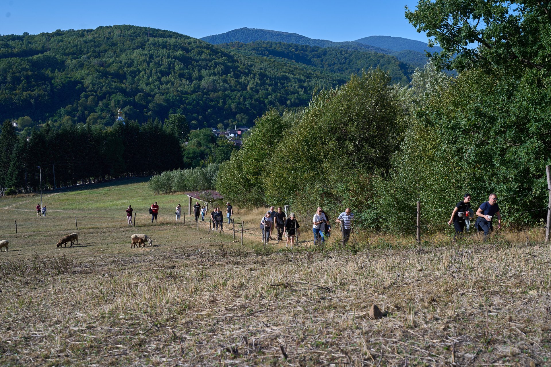The hike is one of the several activities planned for the chaplains and their families during the project. (Photo: Mykyta Shandyba/ UNITED24 Media) The hike is one of the several activities planned for the chaplains and their families during the project. (Photo: Mykyta Shandyba/ UNITED24 Media)