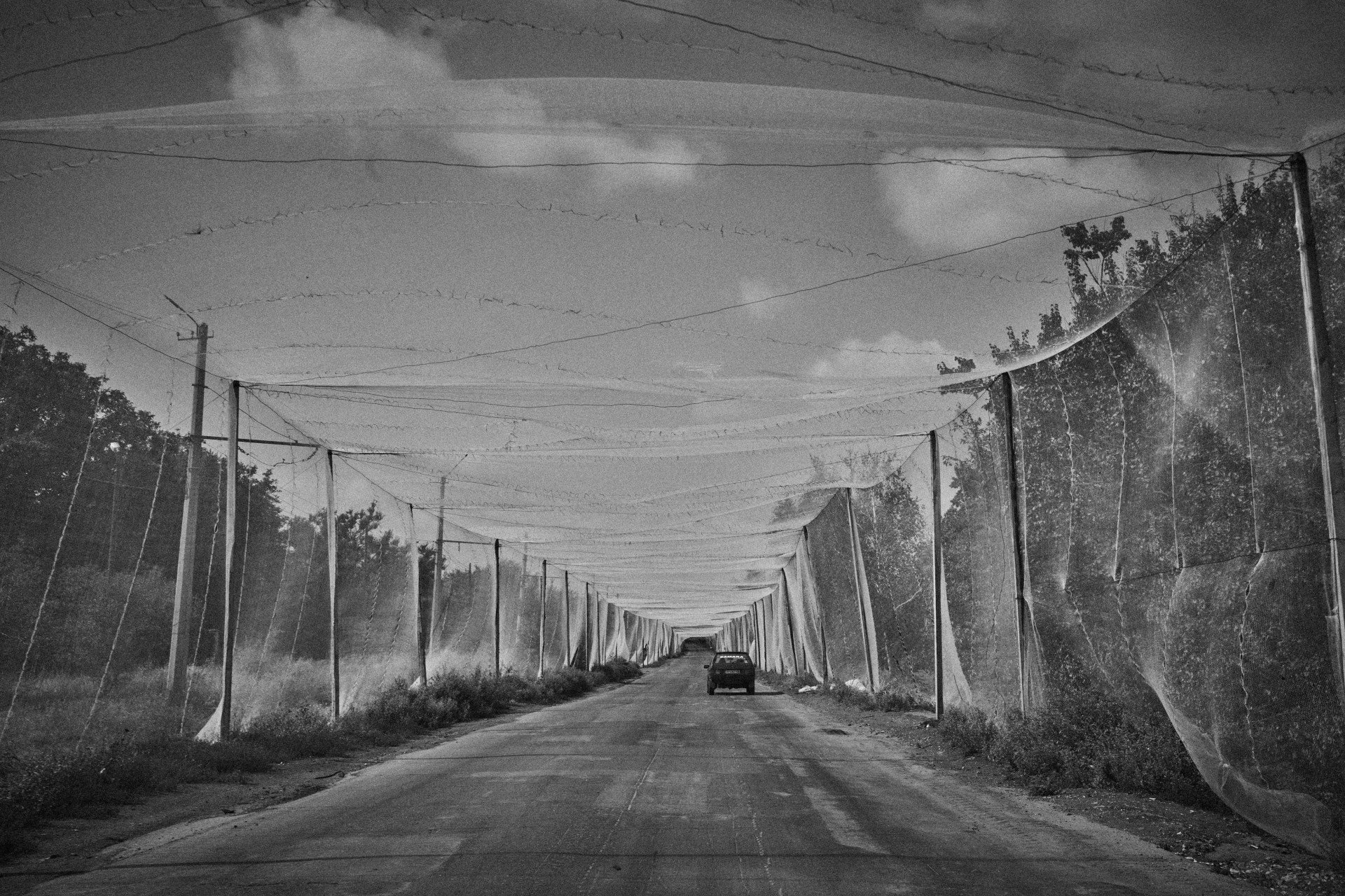 A typical frontline landscape, marked by anti-drone infrastructure. Kostiantynivka, August 2025. Photo: Josh Olley/UNITED24 Media