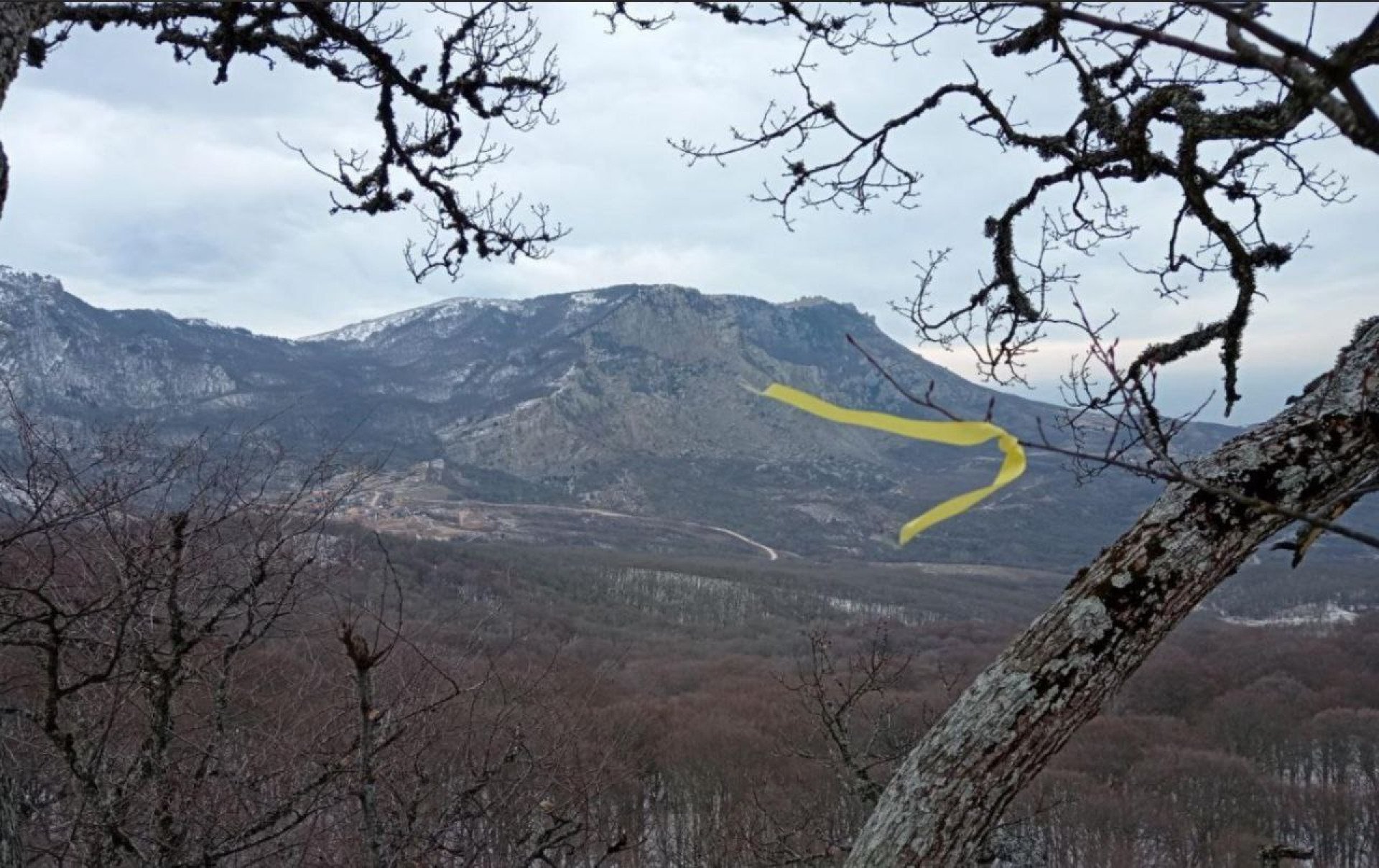 A symbol of Ukrainian resistance — the yellow ribbon in temporarily occupied Crimea. (Source: Yellow Ribbon via Telegram) A symbol of Ukrainian resistance — the yellow ribbon in temporarily occupied Crimea. (Source: Yellow Ribbon via Telegram)