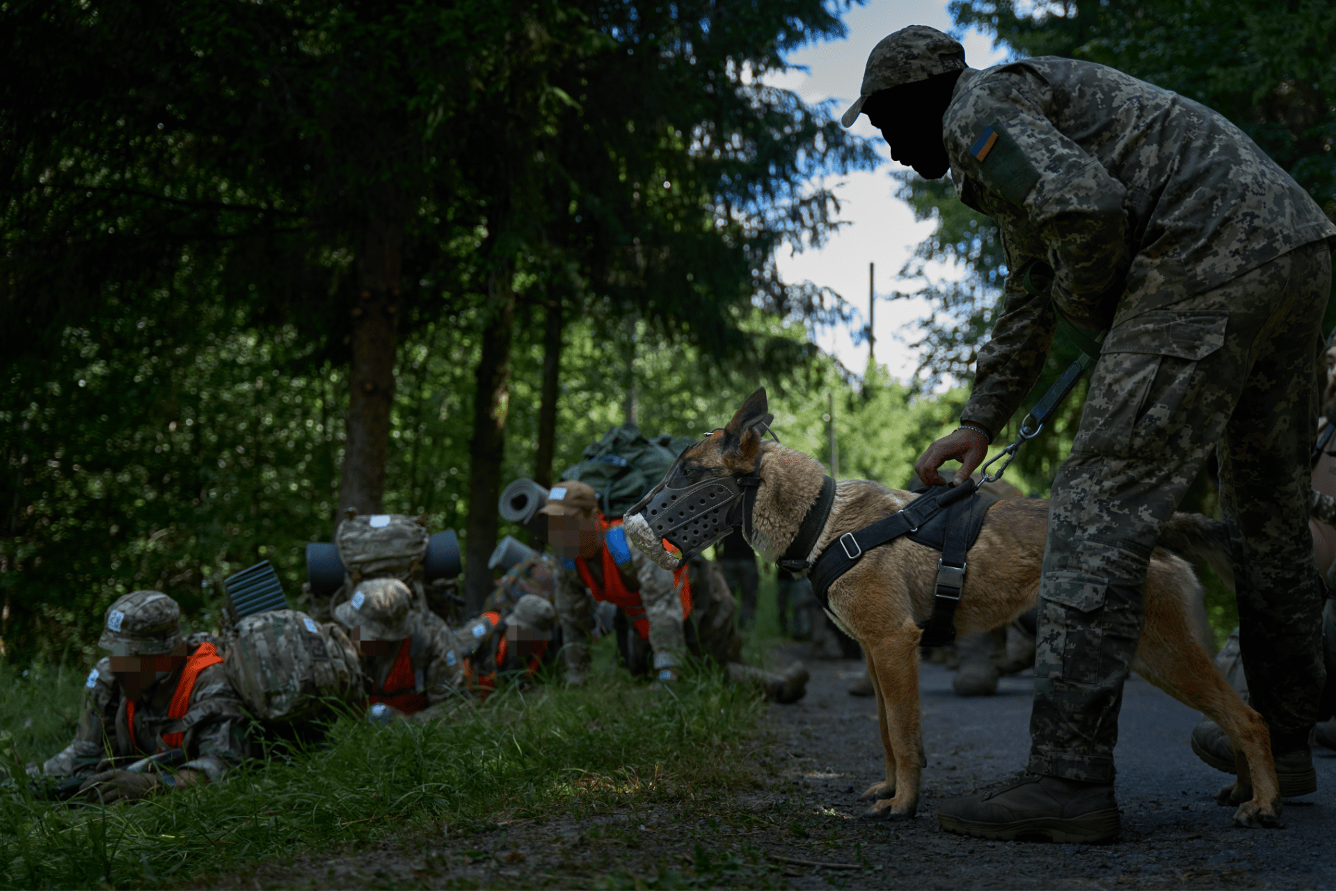 While crawling low to the ground, candidates are also subjected to psychological and physical pressure from specially trained dogs, which aggressively lunge at anyone their handler points to. While crawling low to the ground, candidates are also subjected to psychological and physical pressure from specially trained dogs, which aggressively lunge at anyone their handler points to.