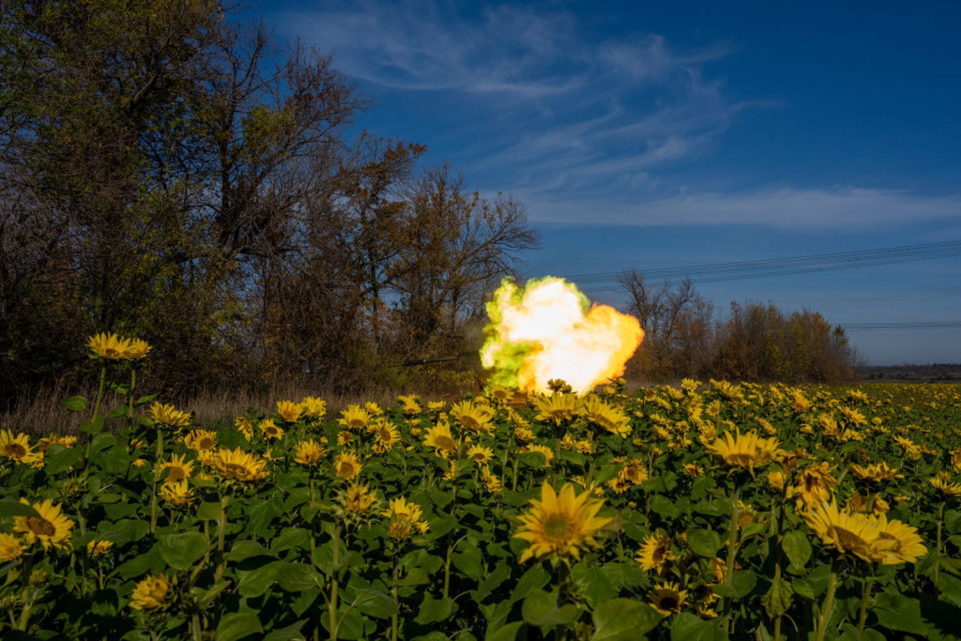 Today, Ukraine Honors Its Fallen Defenders on the National Day of Remembrance