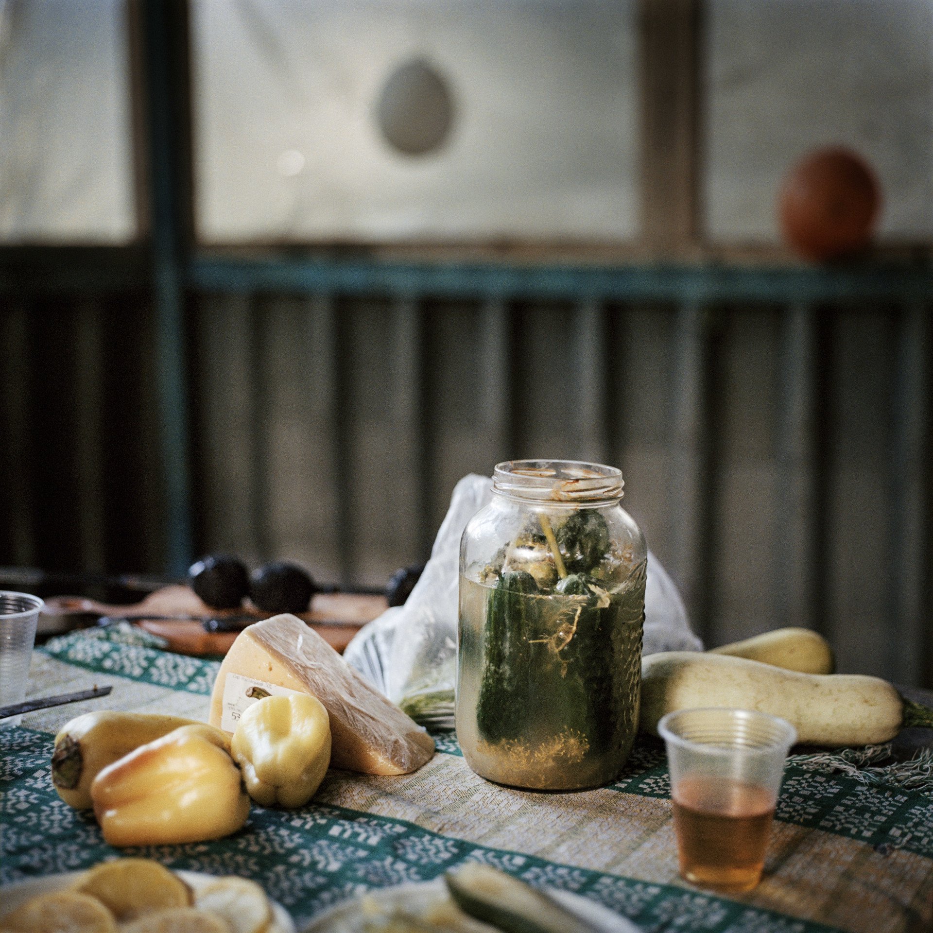 Homegrown vegetables and pickles at the Hrynyk family’s picnic near Avdiivka, 2019. (Image: Anastasia Taylor-Lind) Homegrown vegetables and pickles at the Hrynyk family’s picnic near Avdiivka, 2019. (Image: Anastasia Taylor-Lind)