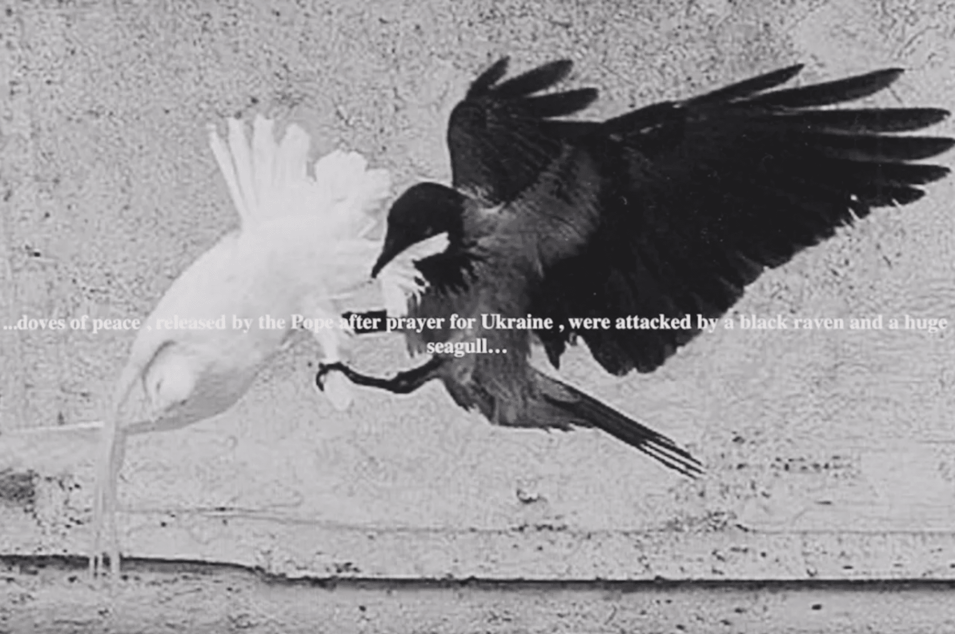 Nuestro tiempo es nuestra carga, 2024 © Boris Mikhailov, VG Bild-Kunst, Bonn, cortesía de Boris y Vita Mikhailov