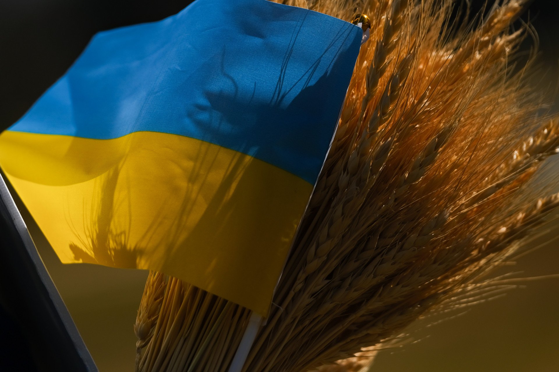 a Ukrainian flag and a bouquet of wheat during a 'Believe in Ukraine' rally