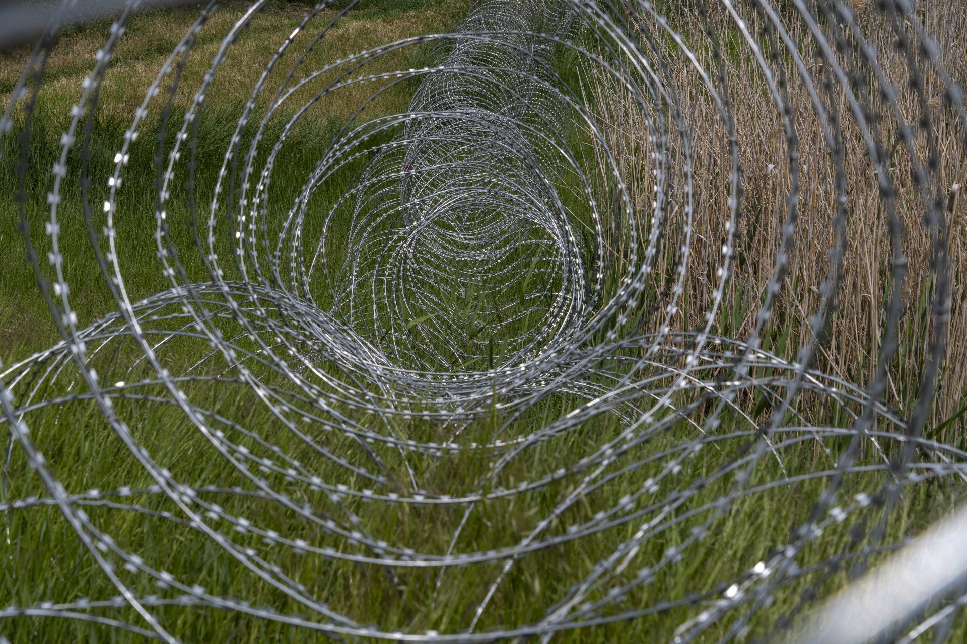 Barbed wire coils stretch across the edge of the former Kakhovka Reservoir, protecting civilians from mines, shells, and the dangers hidden in the new forest. Photo: Oleksii Filippov (Instagram: @filippov_af) Barbed wire coils stretch across the edge of the former Kakhovka Reservoir, protecting civilians from mines, shells, and the dangers hidden in the new forest. Photo: Oleksii Filippov (Instagram: @filippov_af)