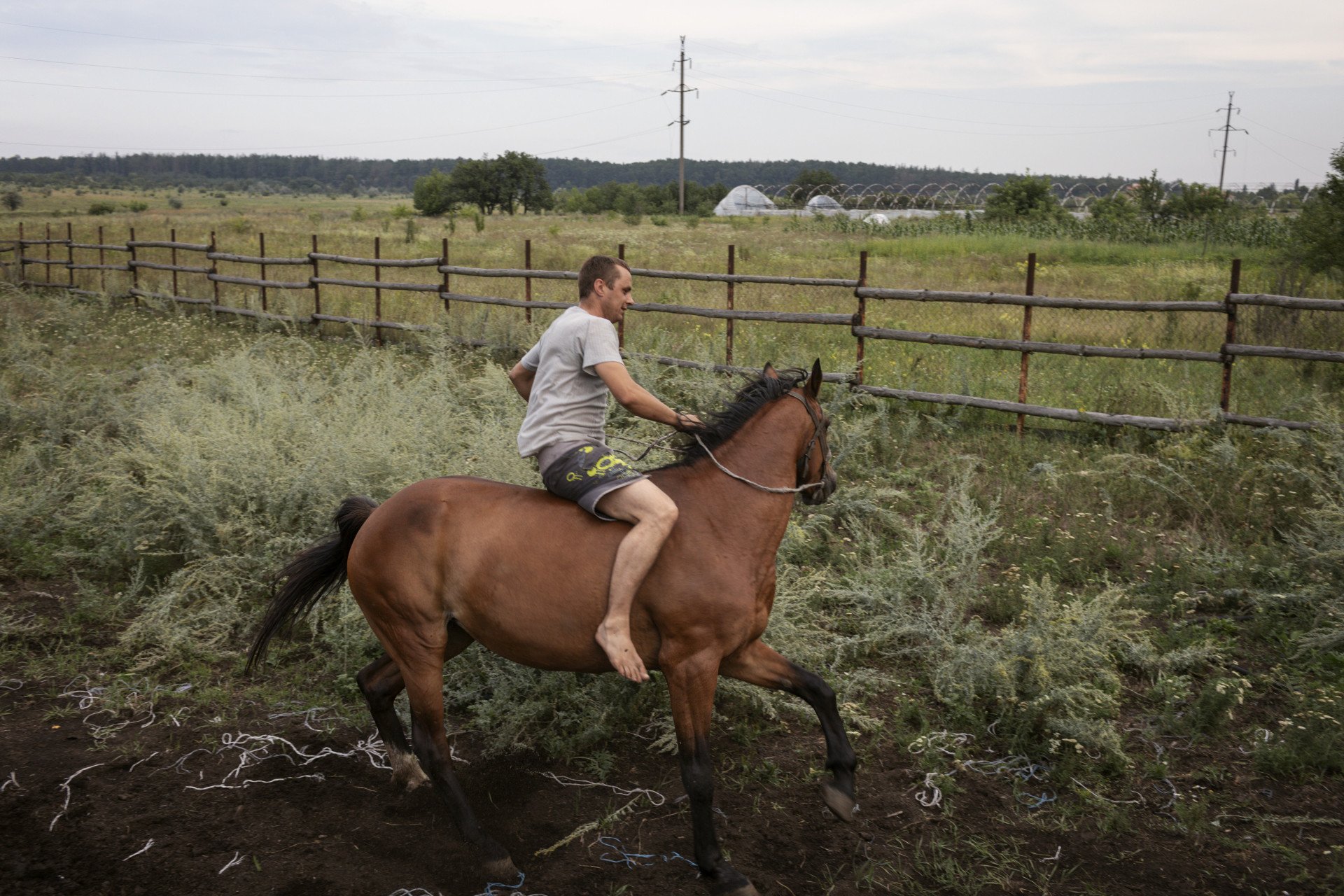 Mykola Hrynyk riding his horse, Lastochka (Swallow), in Avdiivka, 2018. From the series 5K from the Frontline. (Image: Anastasia Taylor-Lind) Mykola Hrynyk riding his horse, Lastochka (Swallow), in Avdiivka, 2018. From the series 5K from the Frontline. (Image: Anastasia Taylor-Lind)