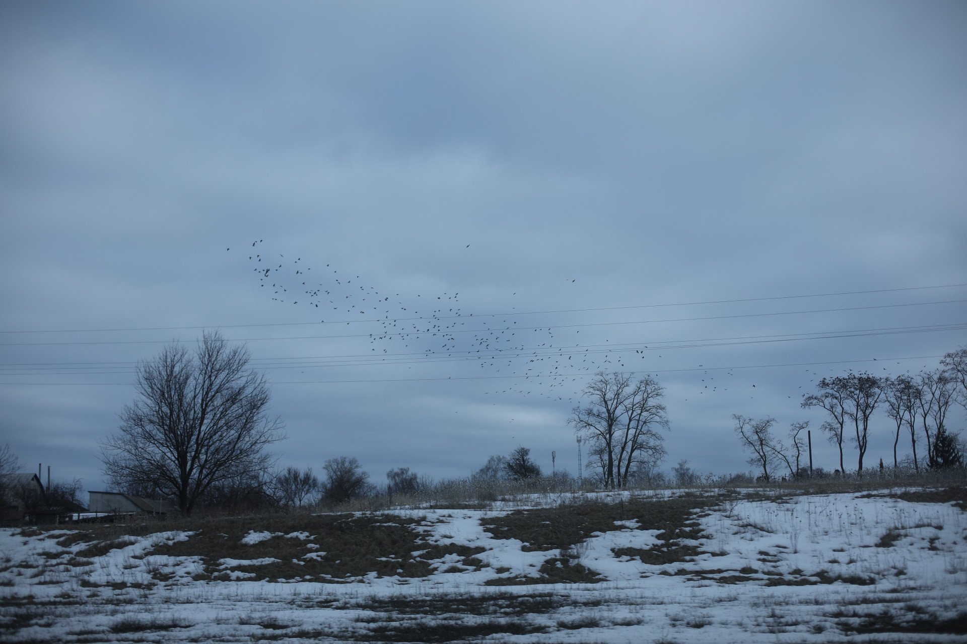 View from the outskirts of Yahidne, a village in Ukraine’s Chernihiv region, liberated in March 2022. (Photo: Lucile Brizard)