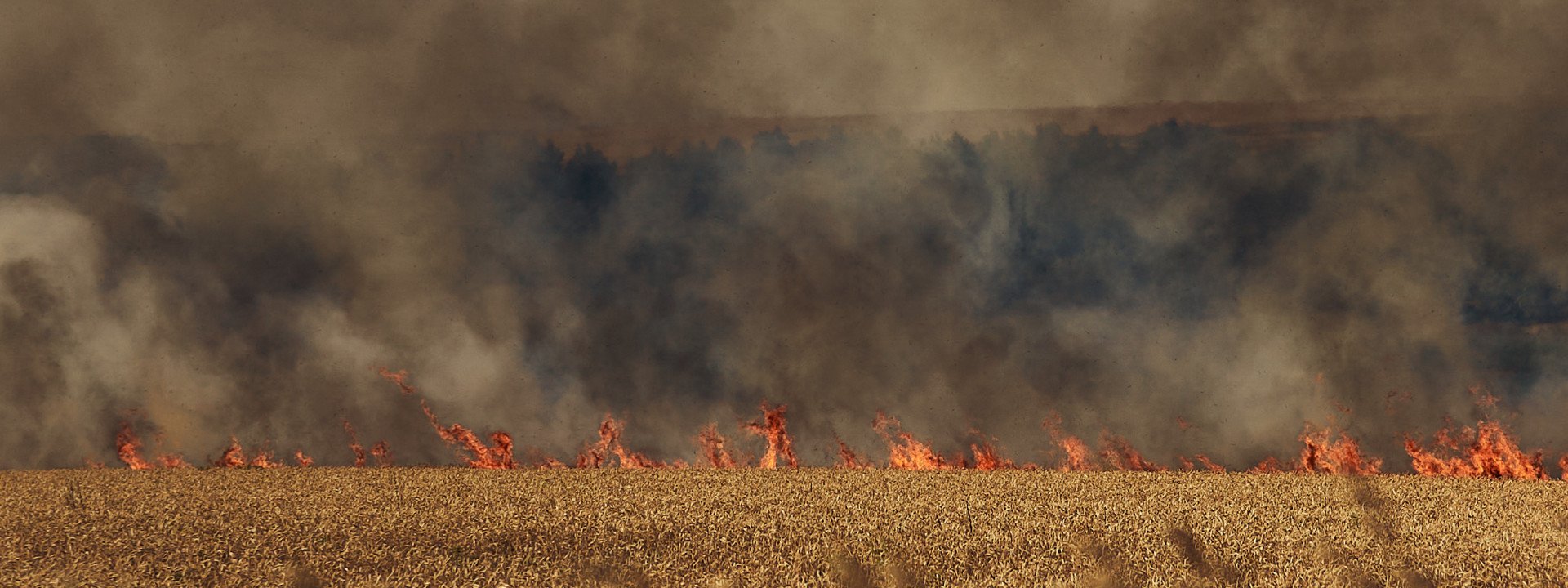 Russia's War in Ukraine Has Unleashed 175 Million Tons of Carbon Emissions, Posing a Huge Environmental Threat