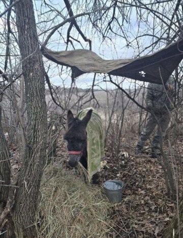 (Source: Russian Telegram Channel)