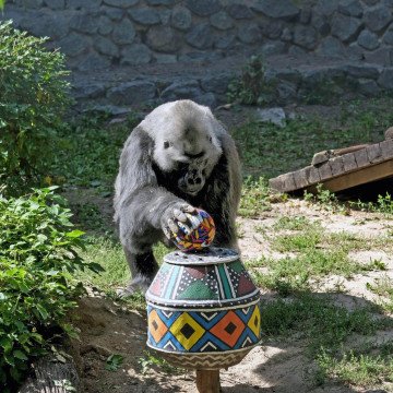 Tony at the Kyiv Zoo. (Source: Kyiv Zoo)