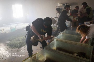 The Russian strike on the Kharkiv Zoo caused facility damage and animal casualties, with emergency crews responding to the site (Source: SES Kharkiv).